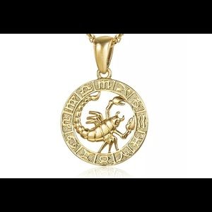 Scorpio Zodiac Sign Gold Filled 18” Necklace